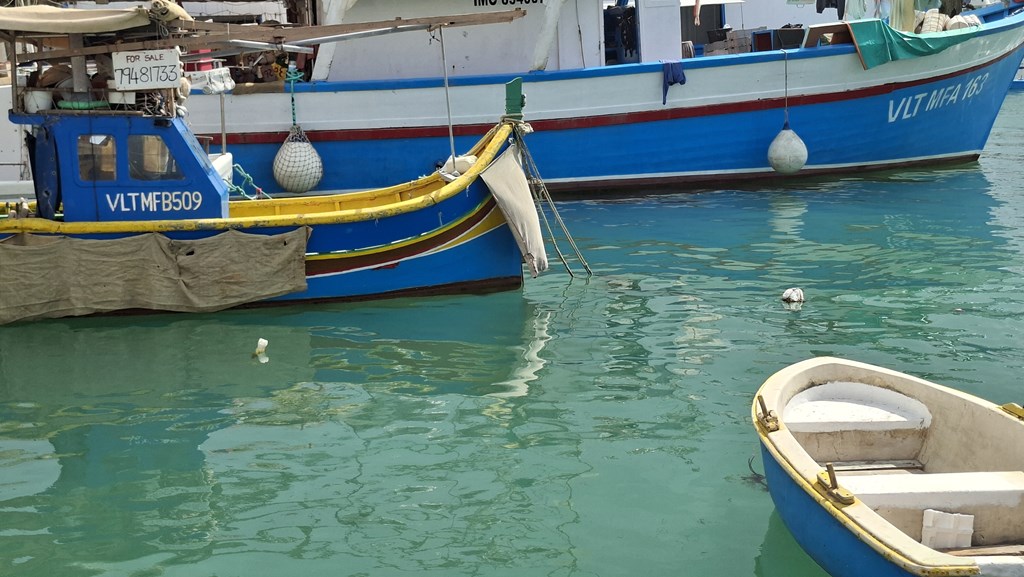 20250918 120644 (Copy)